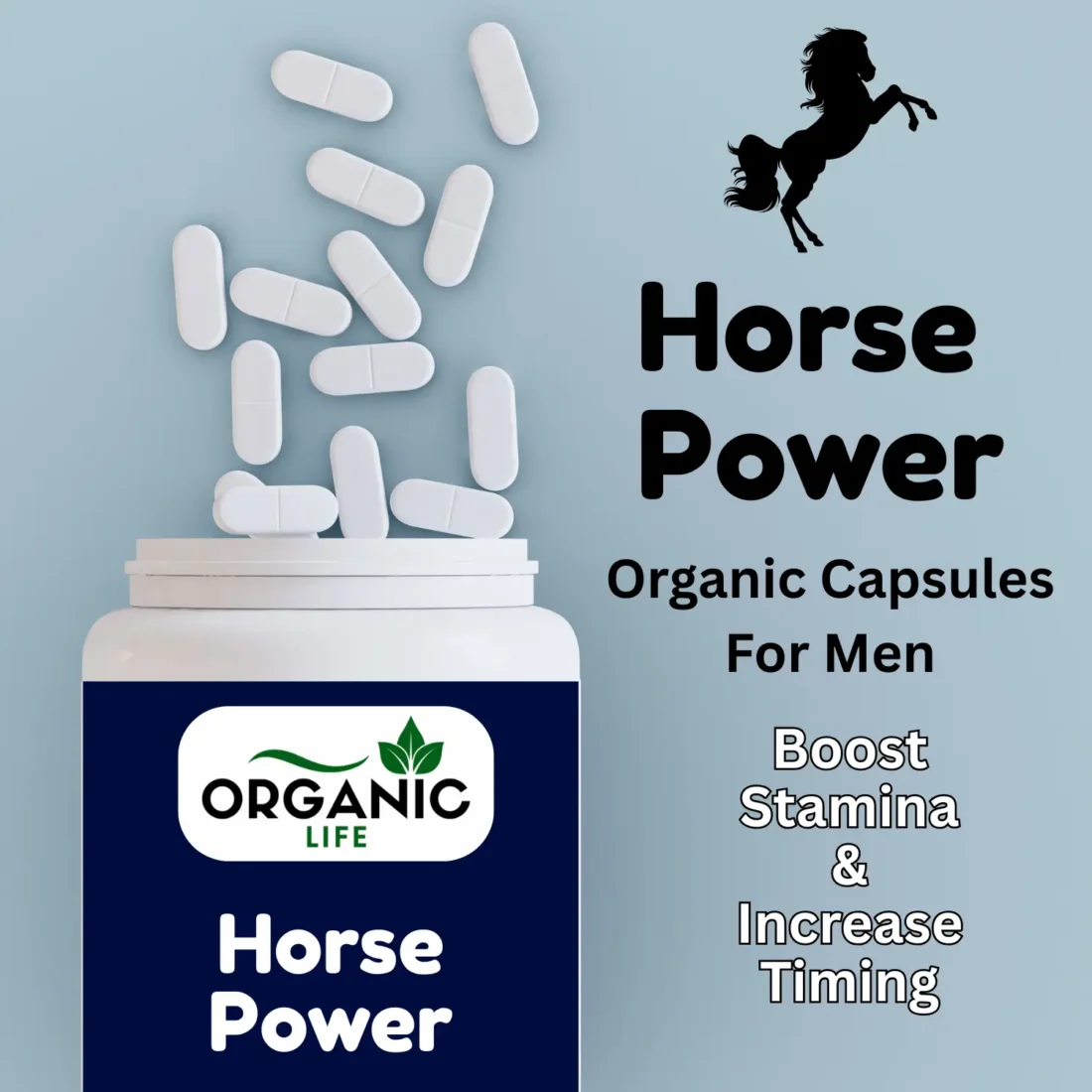 Horse Power Capsules For Men Power, Timing & Erection (15caps) in just 1500Rs